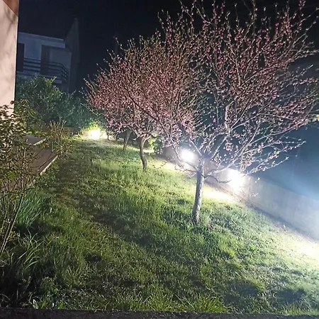 بيت ضيافة Slado *