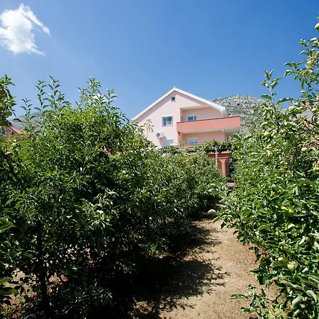 بيت ضيافة Slado تريبينيي