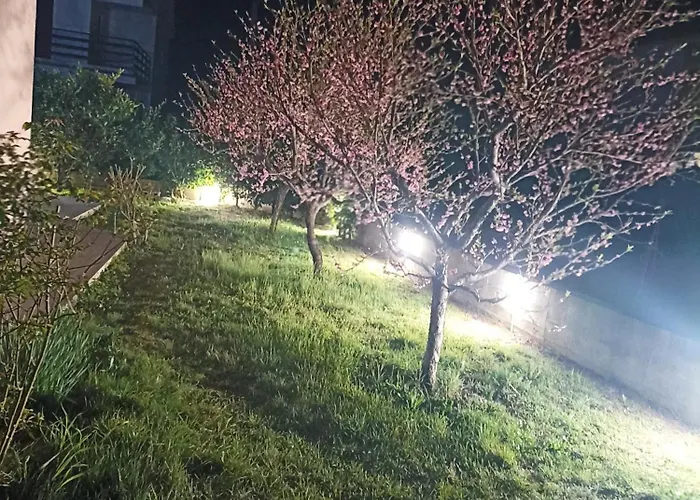 Πανσιόν Slado *